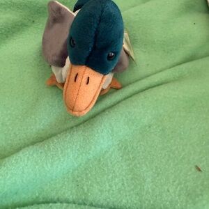 Ty Beanie Babies Plush with Blue and Orange Accents